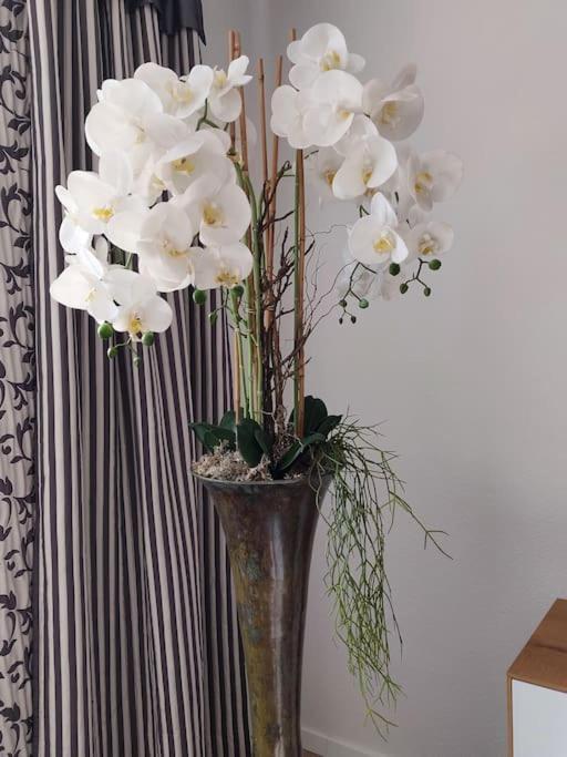 BlumenRaum - Ferienwohnung In Καρλσρούη Εξωτερικό φωτογραφία